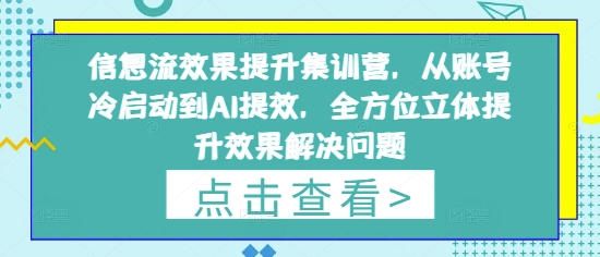 信息流效果提升集训营，从账号冷启动到AI提效，全方位立体提升效果解决问题-网创先锋