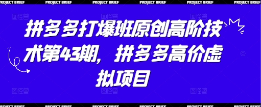 拼多多打爆班原创高阶技术第43期，拼多多高价虚拟项目-网创先锋