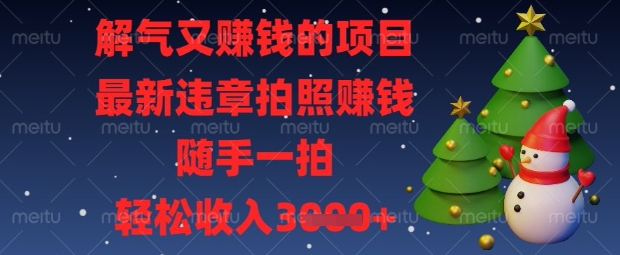 解气又挣钱的项目，最新违章拍照挣钱，随手一拍，轻松收入数张【揭秘】-网创先锋