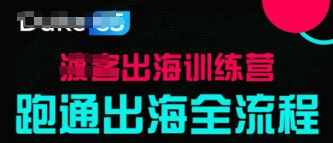 出海训练营基础课，​跑通出海全流程，实战案例拆解-网创先锋