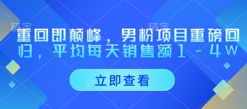 重回即颠峰，男粉项目重磅回归，平均每天销售额1-4W-网创先锋