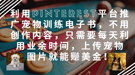 利用Pinterest平台推广宠物训练电子书，不用创作内容，只需要每天利用业余时间，上传宠物图片就能挣美金!-网创先锋