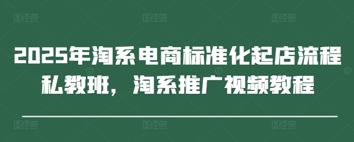2025年淘系电商标准化起店流程私教班，淘系推广视频教程-网创先锋