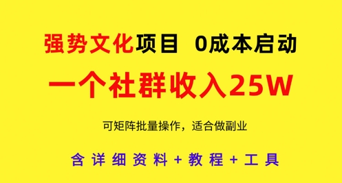强势文化项目，一个社群收入25个W，0成本启动，可矩阵批量操作，原创详细实操教程-网创先锋