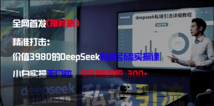 精准打击：价值3980的DeepSeek私域引流实操课，小白实操无门槛，日引精准粉300+-网创先锋