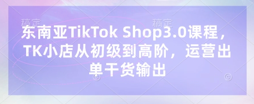 东南亚TikTok Shop3.0课程，TK小店​从初级到高阶，运营出单干货输出-网创先锋