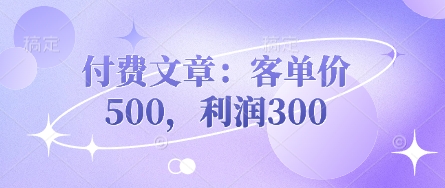 付费文章：客单价500，利润300-网创先锋