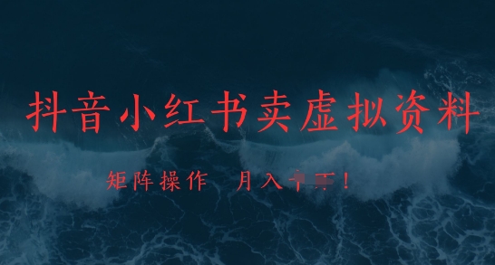 抖音小红书卖虚拟资料，市场需求一直存在，矩阵操作，月入1w+-网创先锋