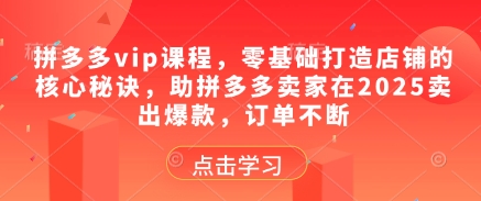 拼多多vip课程，零基础打造店铺的核心秘诀，助拼多多卖家在2025卖出爆款，订单不断-网创先锋