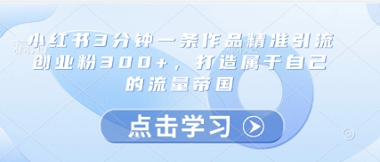 小红书3分钟一条作品精准引流创业粉300+，打造属于自己的流量帝国-网创先锋