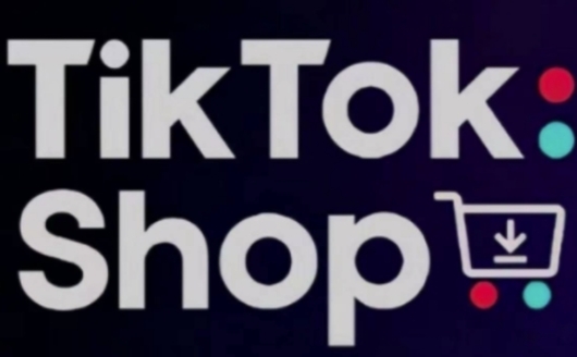 TikTokShop跨境电商0-1实战，手把手教你低成本启动海外市场（更新）-网创先锋