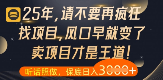 什么？25年你还在疯狂找项目做，醒醒吧，看完这些你全都懂了【揭秘】-网创先锋