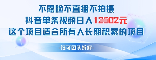 不露脸不直播不拍摄抖音单条视频日入1k+这个项目适合所有人长期积累的项目-网创先锋