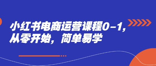小红书电商运营课程0-1，从零开始，简单易学-网创先锋