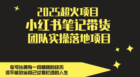 2025超火项目，副业最佳选择，小红书笔记带货团队实操落地项目，，轻松日入5张-网创先锋