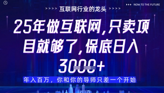 什么！25年你还在找项目做？风口早就变了，卖项目才是稳挣不赔【揭秘】-网创先锋