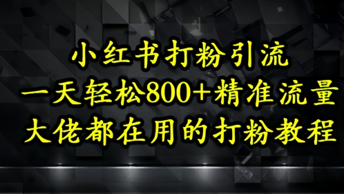 小红书打粉引流，一天轻松500+精准流量，大佬都在用的打粉教程-网创先锋