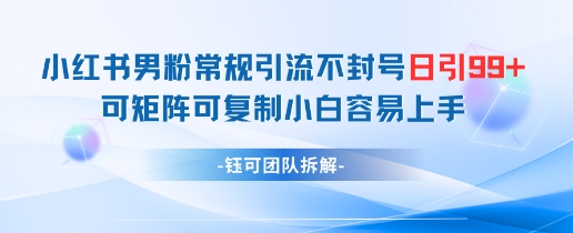 小红书男粉常规引流不封号日引99+变现简单 可矩阵可复制小白容易上手-网创先锋
