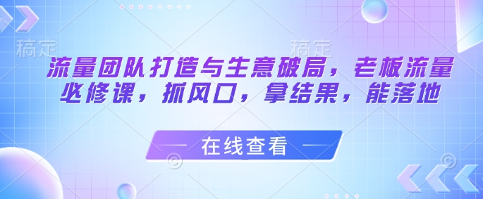 流量团队打造与生意破局，老板流量必修课，抓风口，拿结果，能落地-网创先锋