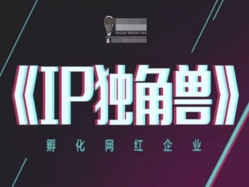 IP独角兽，孵化网红企业，ip教程-网创先锋