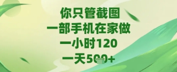 你只管截图，一部手机在家做，苹果安卓都可以，一天5张+【揭秘】-网创先锋