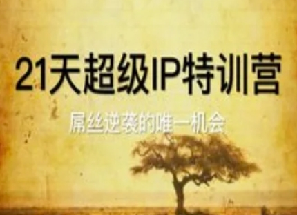 21天超级IP特训营，屌丝逆袭的唯一机会-网创先锋