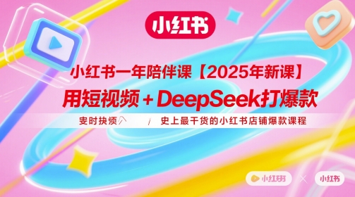 小红书一年陪伴课【2025年新课】，用短视频+deepSeek打爆款，史上最干货的小红书店铺爆款课程-网创先锋