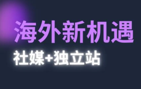 2025出海新机遇(社媒+独立站)，海外新机遇，实现独立站的高效运营与出海-网创先锋