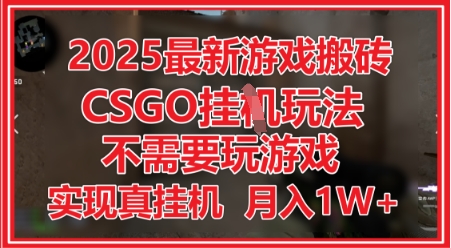 2025最新游戏搬砖，CSGO挂G，不需要玩游戏，实现真挂G，月入1W+【揭秘】-网创先锋