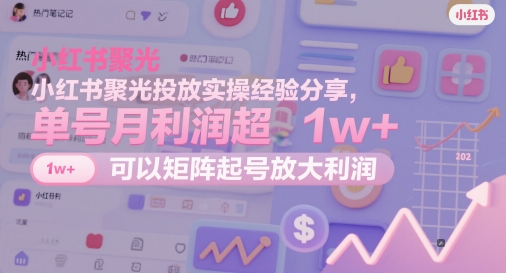 小红书聚光投放实操经验分享，单号月利润超1w+，可以矩阵起号放大利润-网创先锋