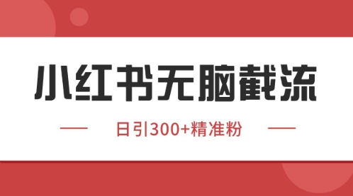 小红书只要你有同行就能获客，独家野路子获客玩法，暴力截流【揭秘】-网创先锋