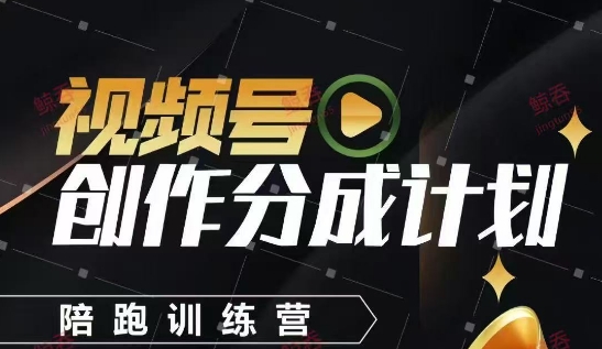 视频号创作分成计划陪跑训练营，手把手教会你如何制作视频，细水长流型项目-网创先锋