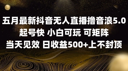 2025五月最新无人直播撸音浪单日产出5张+实操教程【揭秘】-网创先锋