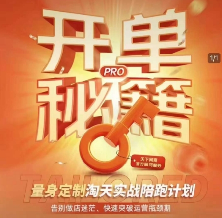 淘宝开单秘籍PRO，量身定制淘天实战陪跑计划，告别做店迷茫、快速突破运营瓶颈期（更新）-网创先锋