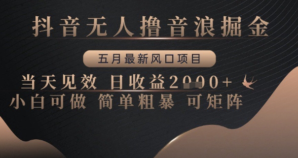 抖音无人撸音浪掘金，五月最新风口项目，当天见效，日收益多张，小白可做简单粗暴可矩阵【揭秘】-网创先锋