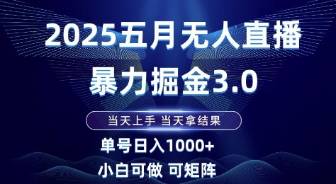 2025五月无人直播暴力掘金3.0，当天上手，当天拿结果，单号日入1k+小白可做可矩阵【揭秘】-网创先锋