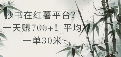 抄书在小红薯平台？平均一单30米，一天收益几张！-网创先锋