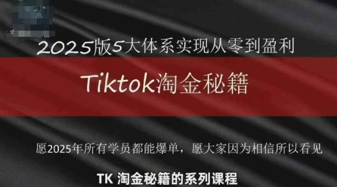 TikTok跨境2025淘金秘籍，​2025TikTok从0到盈利变现-网创先锋