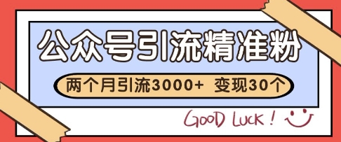 公众号精准粉引流玩法，2个月3000+精准粉，变现30个W【揭秘】-网创先锋