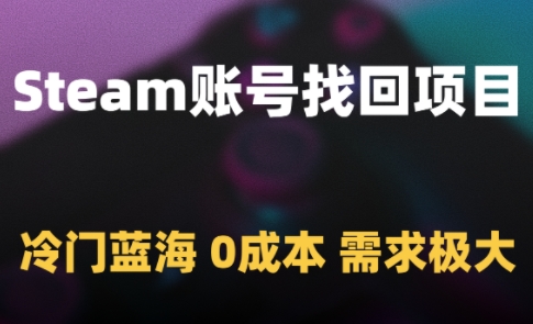 Steam账号找回项目，冷门蓝海，0成本，需求极大-网创先锋