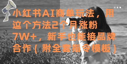 小红书AI商单玩法，用这个方法2个月涨粉7W+，新手也能接品牌合作(附全套指令模板)-网创先锋