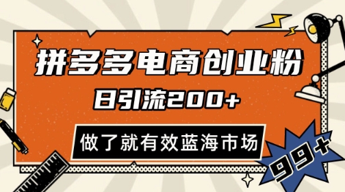 拼多多引流电商创业粉，日引200+，可矩阵放大，做了就有效【揭秘】-网创先锋