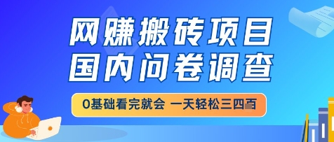 网创搬砖项目，国内问卷调查，小白轻松上手，一天三四张的也不难，干就完了【揭秘】-网创先锋