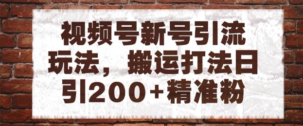 视频号新号引流玩法，搬运打法日引200+精准粉，可矩阵放大【揭秘】-网创先锋