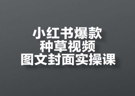 小红书爆款种草视频图文封面实操课，​开店、选品、引流、变现全流程-网创先锋