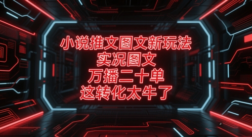小说推文图文新玩法，实况图文，万播二十单，这转化太牛了！-网创先锋