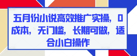 五月份小说高效推广实操，0成本，无门槛，长期可做，适合小白操作-网创先锋