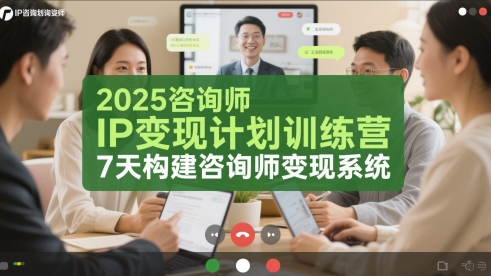 2025咨询师IP变现计划训练营，7天构建咨询师变现系统-网创先锋