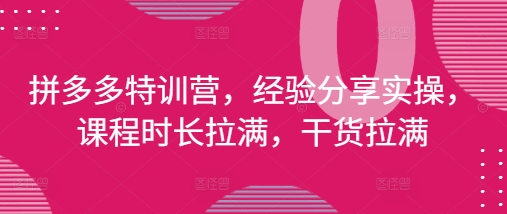 拼多多特训营，经验分享实操，课程时长拉满，干货拉满(更新25年4月)-网创先锋