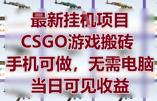 最新挂G项目，CSGO游戏搬砖，手机可做，无需电脑，当日见收益【揭秘】-网创先锋